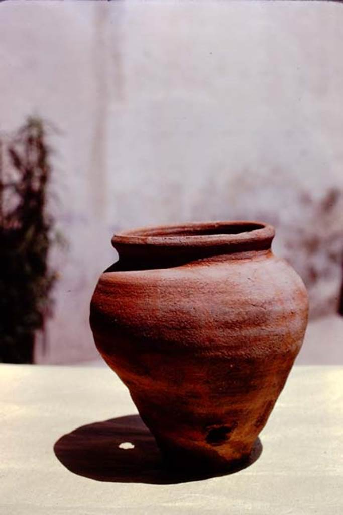 I.15.3 Pompeii, 1973. Detail of terracotta pot. Photo by Stanley A. Jashemski. 
Source: The Wilhelmina and Stanley A. Jashemski archive in the University of Maryland Library, Special Collections (See collection page) and made available under the Creative Commons Attribution-Non Commercial License v.4. See Licence and use details. J73f0191
