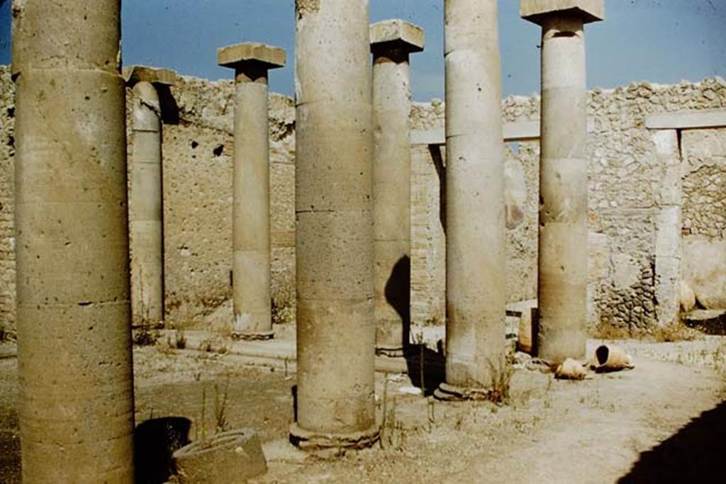 I.16.2 Pompeii. 1959. Looking north-west across pseudoperistyle. Photo by Stanley A. Jashemski.
Source: The Wilhelmina and Stanley A. Jashemski archive in the University of Maryland Library, Special Collections (See collection page) and made available under the Creative Commons Attribution-Non Commercial License v.4. See Licence and use details.
J59f0207
