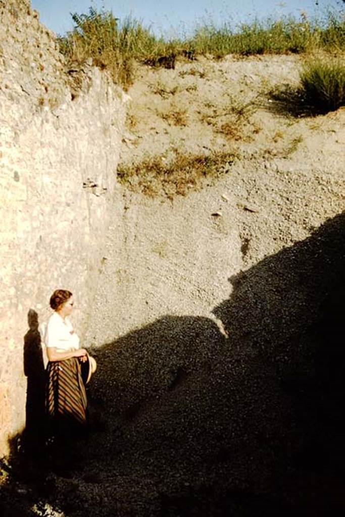 I.19.1 Pompeii. 1959. Wilhelmina Jashemski studying the lapilli, and its modern day height.
Photo by Stanley A. Jashemski.
Source: The Wilhelmina and Stanley A. Jashemski archive in the University of Maryland Library, Special Collections (See collection page) and made available under the Creative Commons Attribution-Non Commercial License v.4. See Licence and use details.
J59f0193