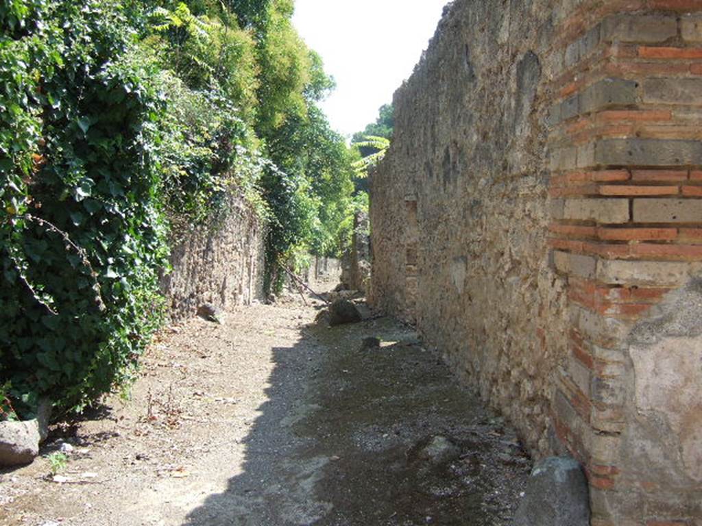 I.19.1 Pompeii, (side wall). September 2005. Roadway looking south. I.2