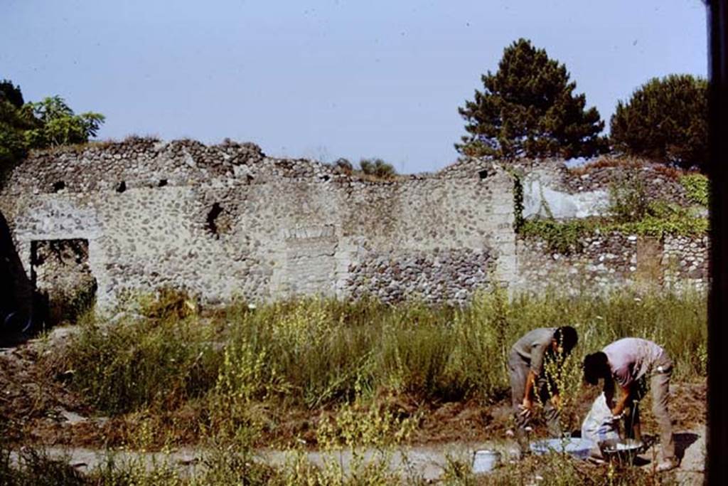 I.20.5 Pompeii. 1972. Looking across area of vineyard/garden towards east wall. hoto by Stanley A. Jashemski.
Source: The Wilhelmina and Stanley A. Jashemski archive in the University of Maryland Library, Special Collections (See collection page) and made available under the Creative Commons Attribution-Non Commercial License v.4. See Licence and use details. J72f0323