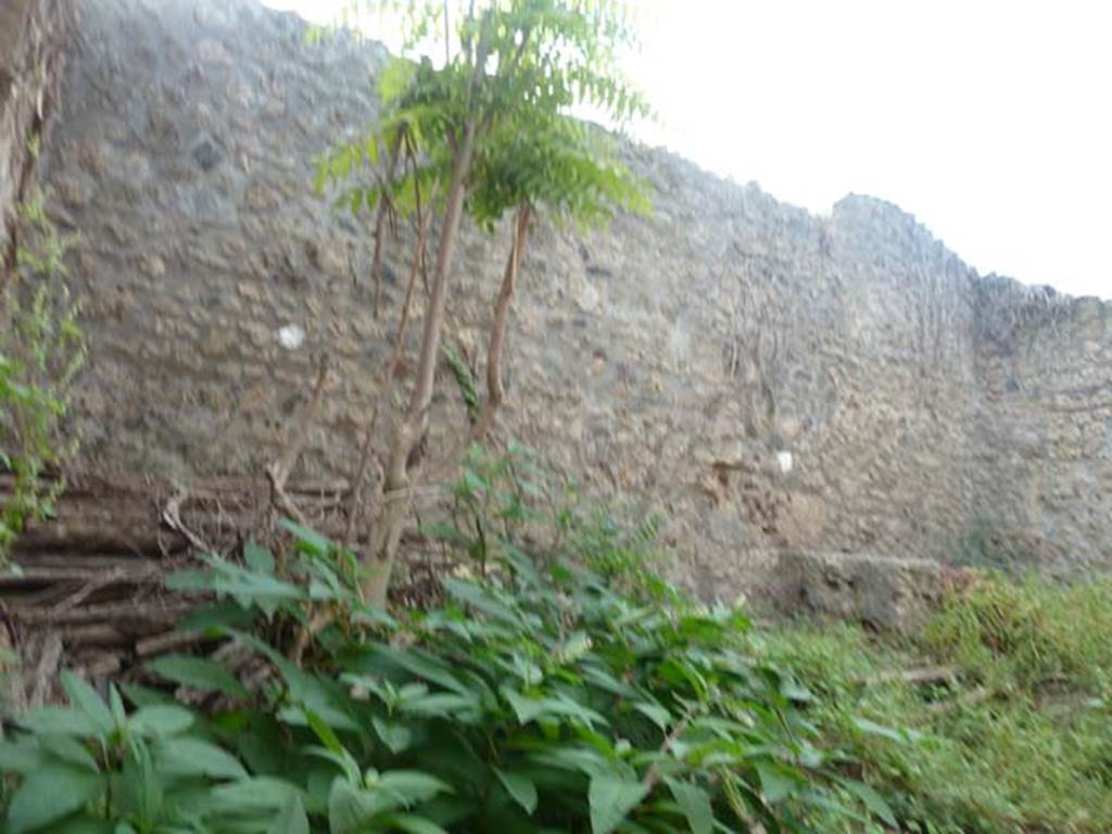 I.21.2 Pompeii. September 2015. Looking towards west wall through blocked doorway.