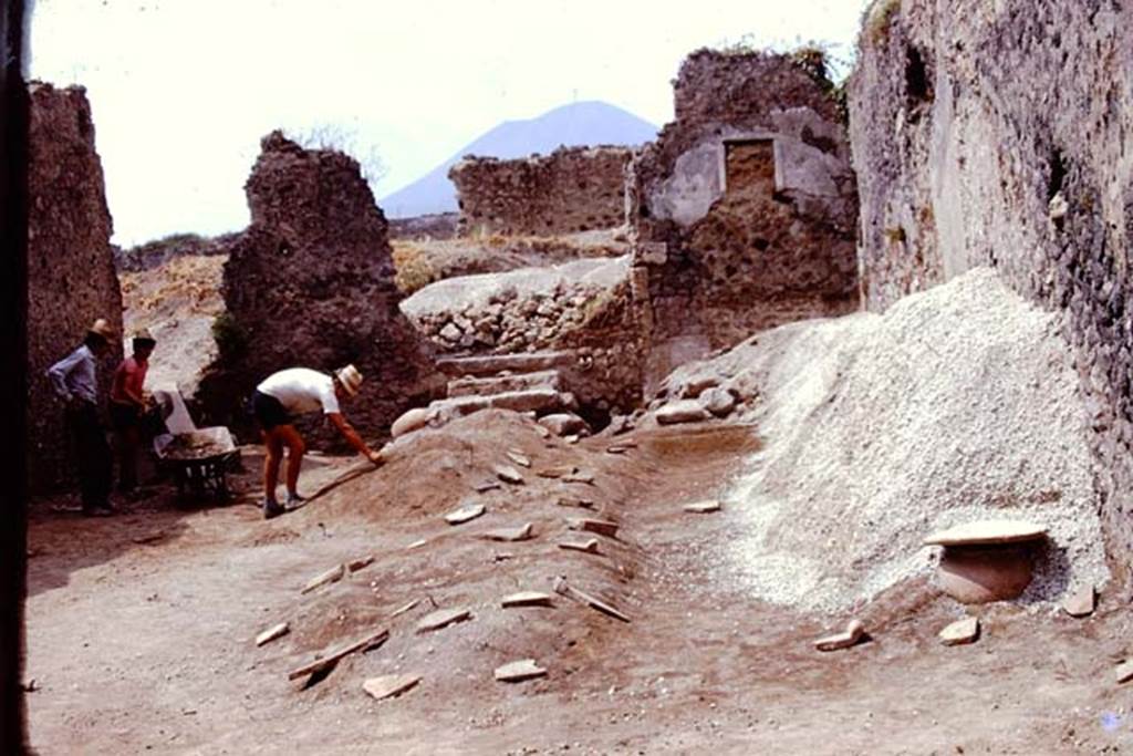 I.21.3 Pompeii. 1974. Looking north across root cavities protected under the stone slabs. Photo by Stanley A. Jashemski.   
Source: The Wilhelmina and Stanley A. Jashemski archive in the University of Maryland Library, Special Collections (See collection page) and made available under the Creative Commons Attribution-Non Commercial License v.4. See Licence and use details. J74f0342
