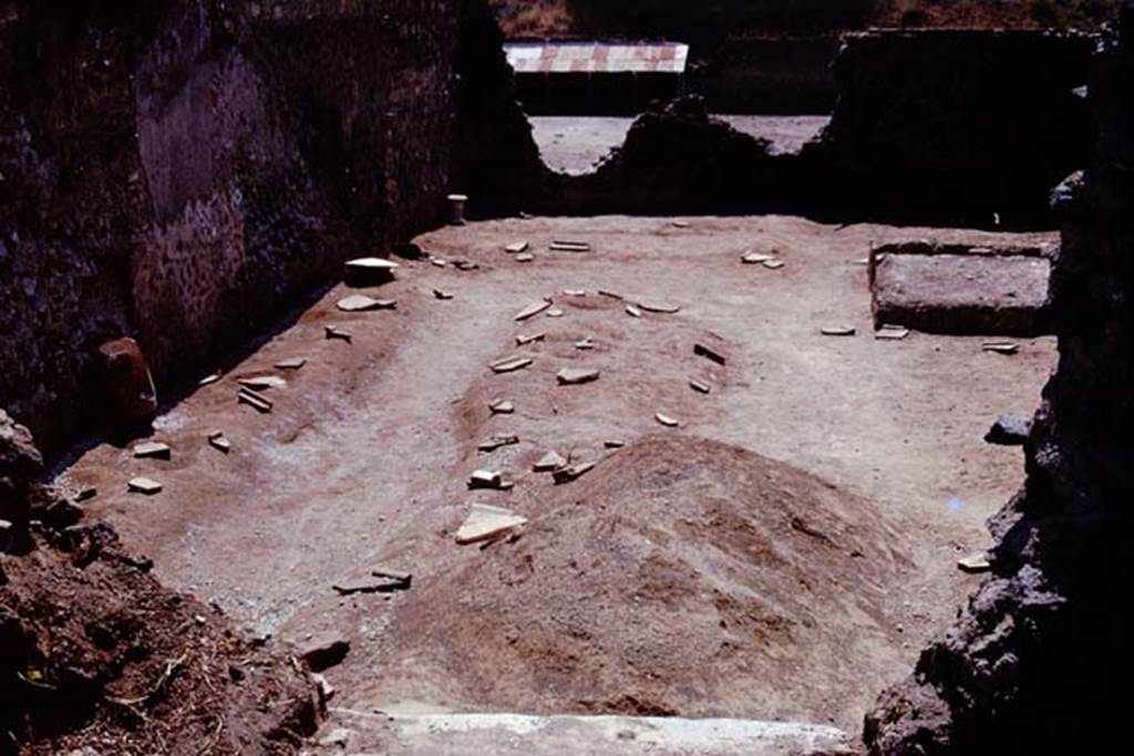 I.21.3 Pompeii. 1974. Looking south across site, with protected root cavities. Photo by Stanley A. Jashemski.   
Source: The Wilhelmina and Stanley A. Jashemski archive in the University of Maryland Library, Special Collections (See collection page) and made available under the Creative Commons Attribution-Non Commercial License v.4. See Licence and use details. J74f0399
