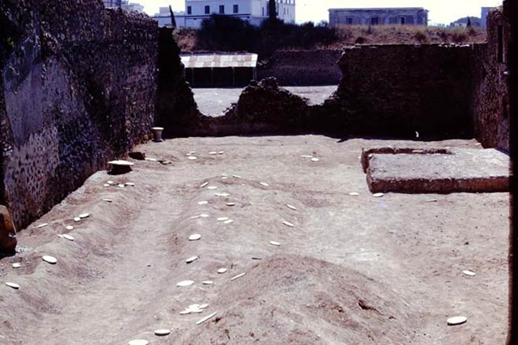 I.21.3 Pompeii. 1974. Looking south with root cavities now marked by white painted wooden discs for easier recognition by the balloon from the air. Photo by Stanley A. Jashemski.   
Source: The Wilhelmina and Stanley A. Jashemski archive in the University of Maryland Library, Special Collections (See collection page) and made available under the Creative Commons Attribution-Non Commercial License v.4. See Licence and use details. J74f0719
