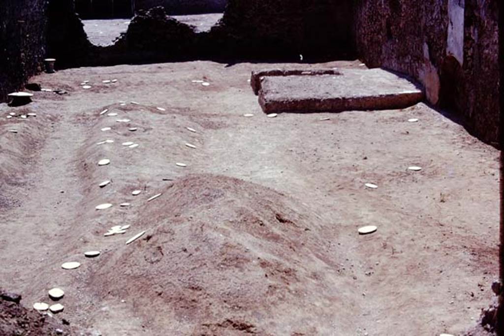I.21.3 Pompeii. 1974. Looking south across marked root cavities towards triclinium near the west wall.  Photo by Stanley A. Jashemski.   
Source: The Wilhelmina and Stanley A. Jashemski archive in the University of Maryland Library, Special Collections (See collection page) and made available under the Creative Commons Attribution-Non Commercial License v.4. See Licence and use details. J74f0717
