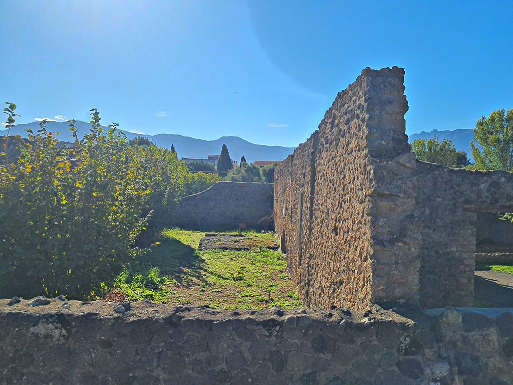 I.21.3 Pompeii. October 2024. Looking south along west wall. Photo courtesy of Giuseppe Ciaramella.
