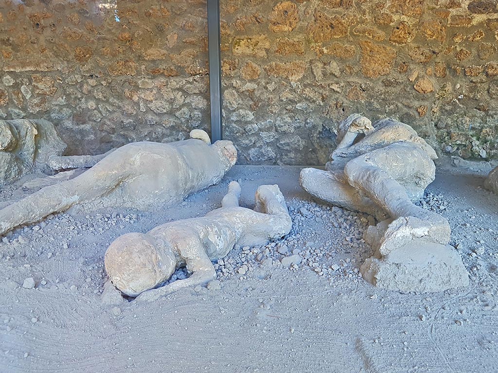 I.21.6 Pompeii. October 2024. Detail of three plaster-casts of impressions of victims. Photo courtesy of Giuseppe Ciaramella.