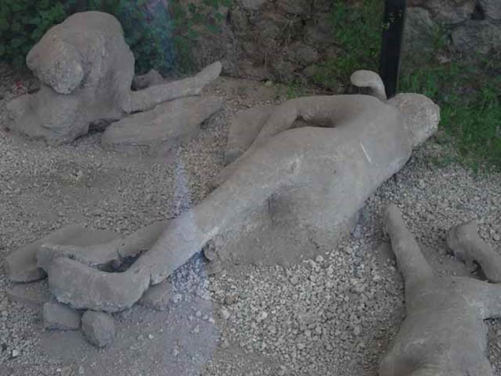 I.21.6 Pompeii. May 2010. Detail of plaster casts of impressions of bodies.