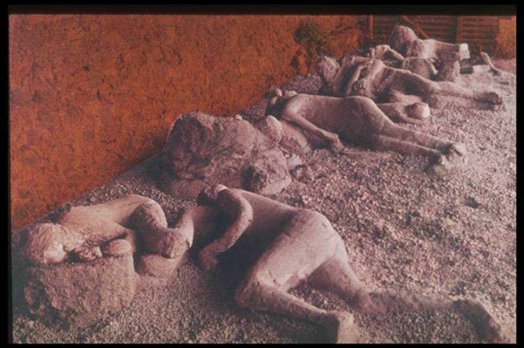 I.21.6 Pompeii.  Plaster casts of bodies.Photographed 1970-79 by Gnther Einhorn, picture courtesy of his son Ralf Einhorn

