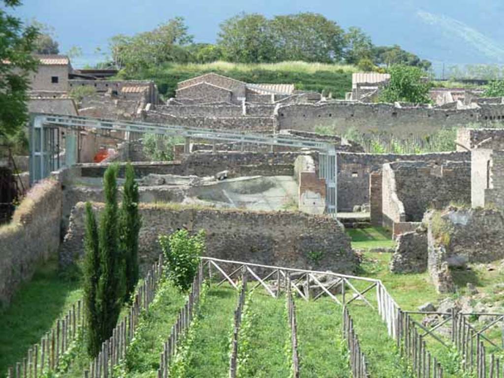 I.22.1 and I.22.2 Pompeii. May 2010. The blue girders cover the area of I.22.1.  Looking north. Under the blue girders are the body-casts found in 1989, on the layer of lapilli above I.22.1. 

