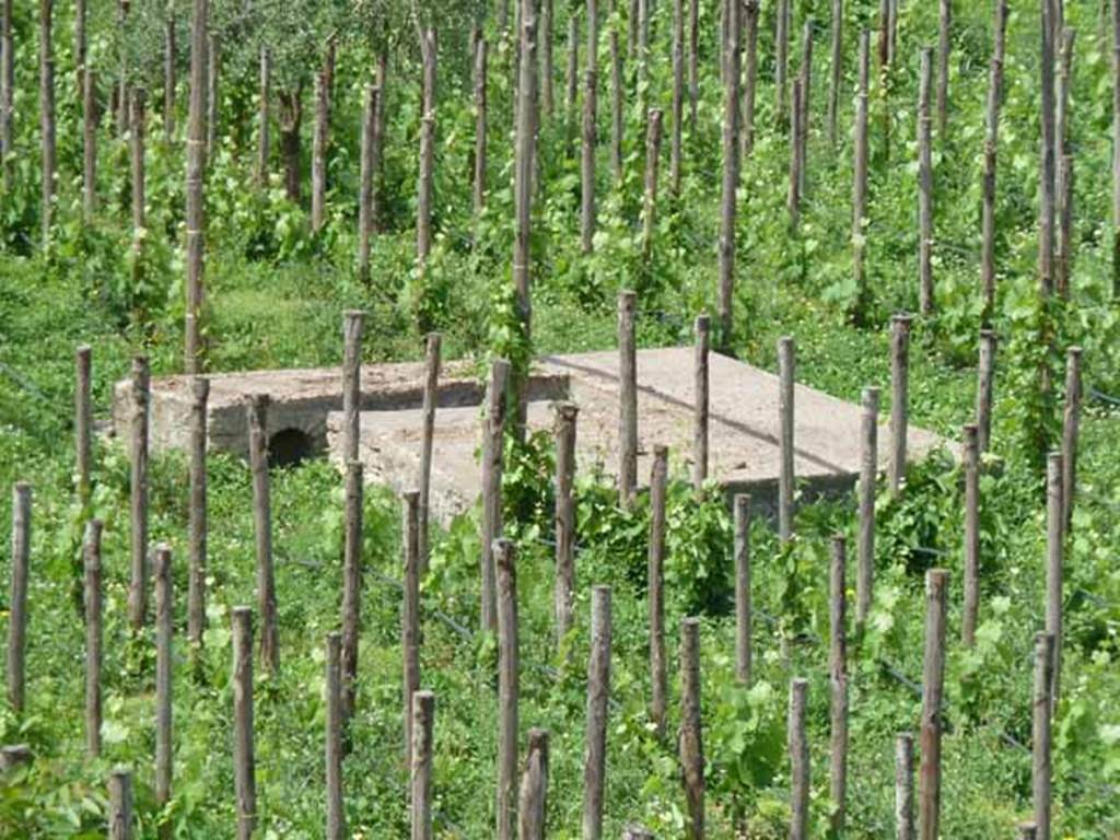 I.22.2 Pompeii. May 2010.  Triclinium and one of the arched niches under the couches, providing storage space. Looking north-east from rear of insula.
