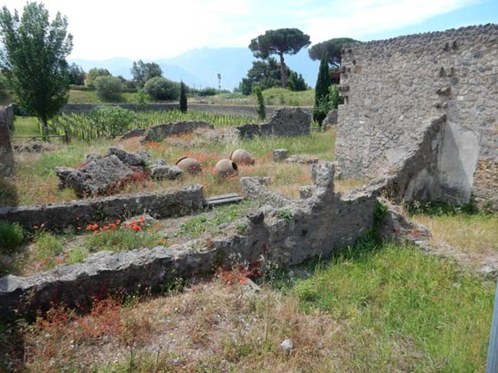 I.22.3 Pompeii. May 2017. Looking south from entrance on Via della Palestra. Photo courtesy of Buzz Ferebee.