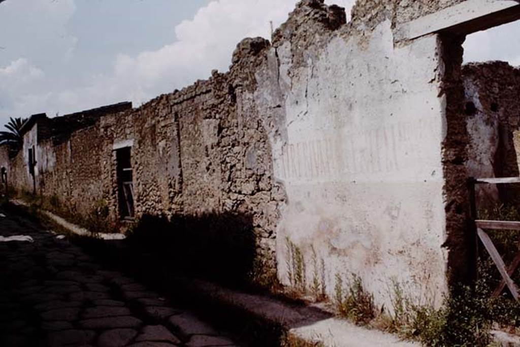 II.1.10 Pompeii. 1964. Painted wall on north side of entrance doorway on Via di Nocera.
Photo by Stanley A. Jashemski.
Source: The Wilhelmina and Stanley A. Jashemski archive in the University of Maryland Library, Special Collections (See collection page) and made available under the Creative Commons Attribution-Non Commercial License v.4. See Licence and use details.
J64f1368 
According to Varone and Stefani, the inscription is CIL IV 9884 and was found on the south of the doorway.  It read 
                                                                    AED V B D R P
A . TREBIVM . VALENTEM    O . V . F .
                                                                    GRANIVS ROG
See Varone, A. and Stefani, G., 2009. Titulorum Pictorum Pompeianorum, Rome: Lerma di Bretschneider. (p.185)

According to Epigraphik-Datenbank Clauss/Slaby (See www.manfredclauss.de), it read
A(ulum) Trebium Valentem 
Aed(ilem) V(irum) B(onum) D(ignum) R(ei) P(ublicae)
O(ro) V(os) F(acciatis)
Granius Rog(at) 
