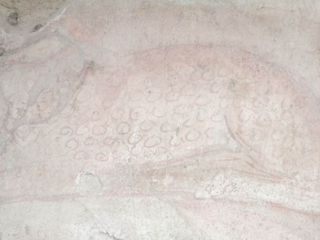II.2.2 Pompeii.  December 2005.  Room “i”.  Painting of leopard on north wall of upper euripus.  
