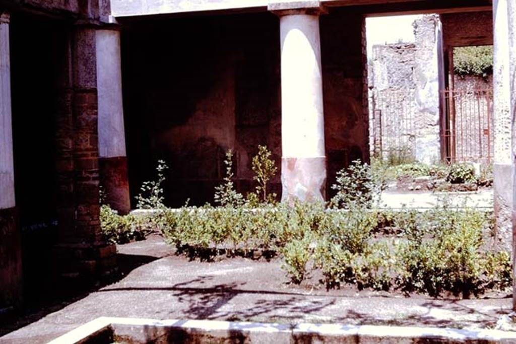 II.2.2 Pompeii. 1961. Looking north across pseudoperistyle area “g” towards atrium 2. 
Photo by Stanley A. Jashemski.
Source: The Wilhelmina and Stanley A. Jashemski archive in the University of Maryland Library, Special Collections (See collection page) and made available under the Creative Commons Attribution-Non Commercial License v.4. See Licence and use details.
J61f0408

