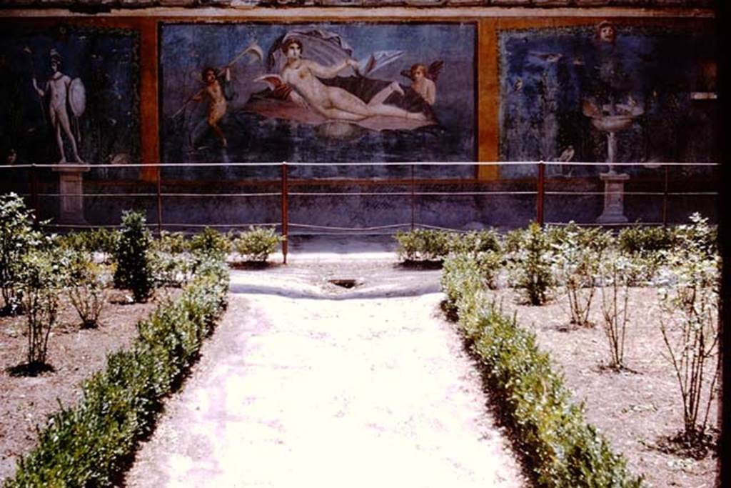 II.3.3 Pompeii. 1964. Looking towards painted south wall in garden. Photo by Stanley A. Jashemski.
Source: The Wilhelmina and Stanley A. Jashemski archive in the University of Maryland Library, Special Collections (See collection page) and made available under the Creative Commons Attribution-Non Commercial License v.4. See Licence and use details.
J64f1698

