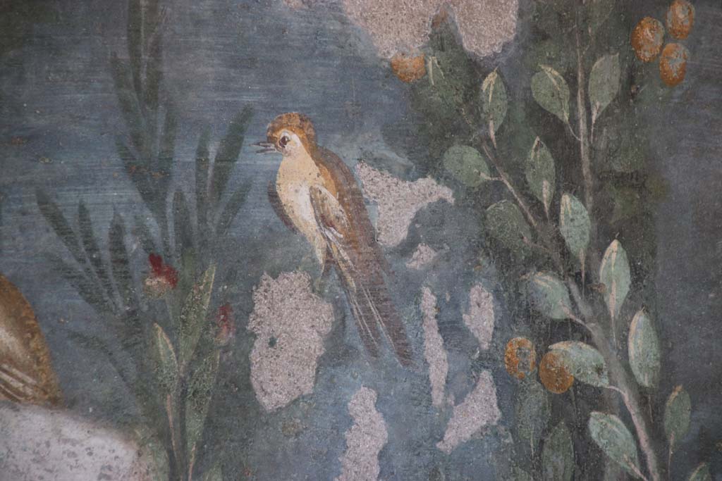 II.3.3 Pompeii. September 2017. Room 11, west panel of south wall of peristyle. Detail of wall painting of a bird.
Photo courtesy of Klaus Heese.
