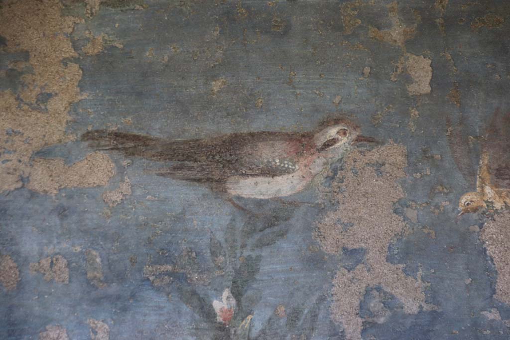 II.3.3 Pompeii. September 2017. Room 11, Room 11, birds from west panel of south wall of peristyle.
Photo courtesy of Klaus Heese. 
