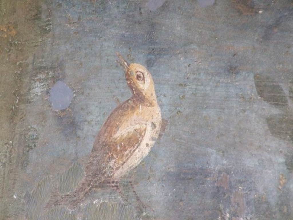 II.3.3 Pompeii. December 2006. Room 11, west panel of south wall of peristyle. Detail of wall painting of a bird.

