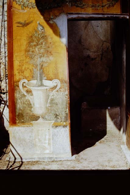 II.3.3 Pompeii. 1971. Room 17, exterior west side of sacellum. Wall painting of crater fountain and tree with birds, and garlands above. Photo by Stanley A. Jashemski.
Source: The Wilhelmina and Stanley A. Jashemski archive in the University of Maryland Library, Special Collections (See collection page) and made available under the Creative Commons Attribution-Non Commercial License v.4. See Licence and use details.
J71f0144
