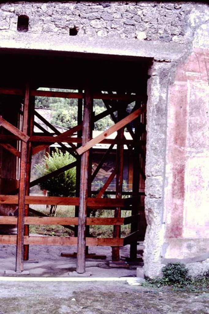 II.3.3 Pompeii, 1982 or 1983. Looking south from atrium to north portico.   
Source: The Wilhelmina and Stanley A. Jashemski archive in the University of Maryland Library, Special Collections (See collection page) and made available under the Creative Commons Attribution-Non Commercial License v.4. See Licence and use details. J80f0455
