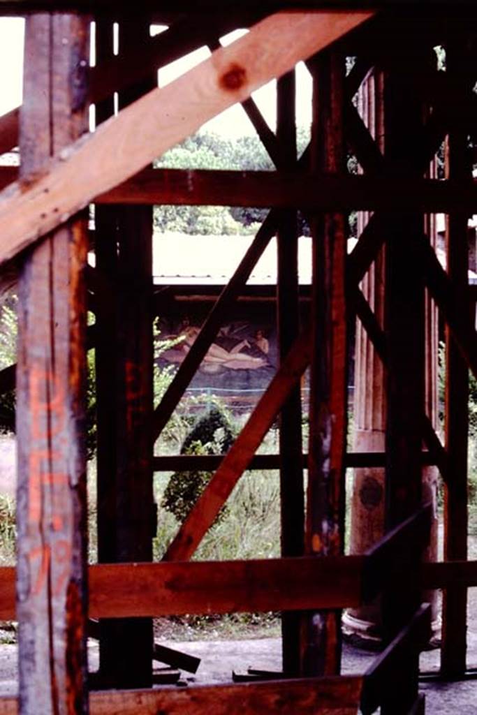 II.3.3 Pompeii, 1982 or 1983. Looking across north portico to garden area.   
Source: The Wilhelmina and Stanley A. Jashemski archive in the University of Maryland Library, Special Collections (See collection page) and made available under the Creative Commons Attribution-Non Commercial License v.4. See Licence and use details. J80f0458
