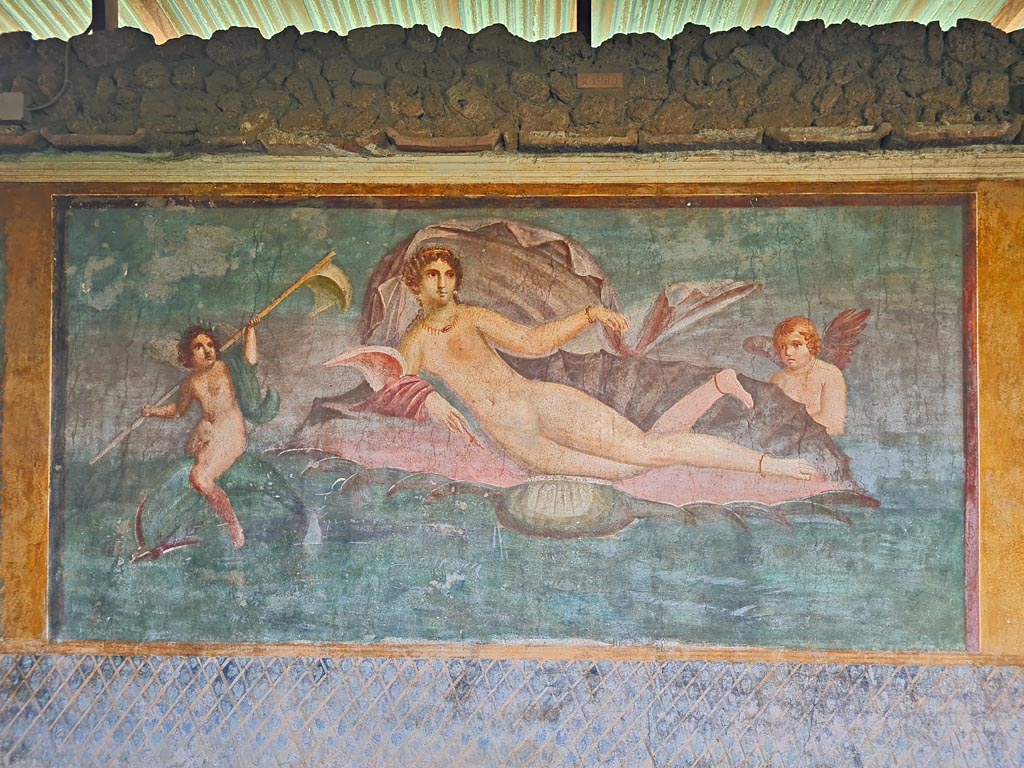 II.3.3 Pompeii. March 2024.
Room 11, central panel from south wall with Venus/Aphrodite in a shell. Photo courtesy of Giuseppe Ciaramella.