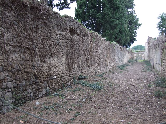 II.2 Pompeii. December 2006. Vicolo della Venere,looking north.  Side wall of II.3.9
