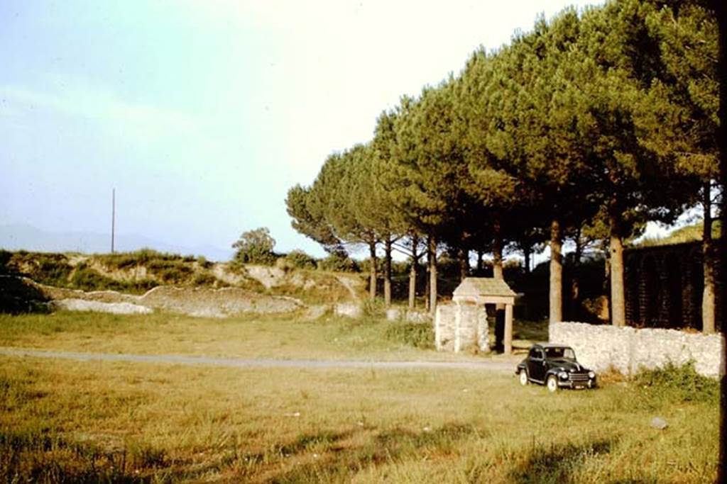 II.5 Pompeii. 1966. Looking east across site. Photo by Stanley A. Jashemski.
Source: The Wilhelmina and Stanley A. Jashemski archive in the University of Maryland Library, Special Collections (See collection page) and made available under the Creative Commons Attribution-Non Commercial License v.4. See Licence and use details.
J66f0266
The insula was cleared of lapilli from December 1954 to May 1955, except for the area of a modern house in the north-east corner, and the area of the north-west corner where there appeared to be an ancient building, as well as the chamber for access to the Sarno canal. 
The 1955 excavators had removed the volcanic material down to the original level, and then covered the area with backfill.
See Jashemski W. F., 2014. Discovering the Gardens of Pompeii: The Memoirs of a Garden Archaeologist 1955  2004, p. 132-3.

