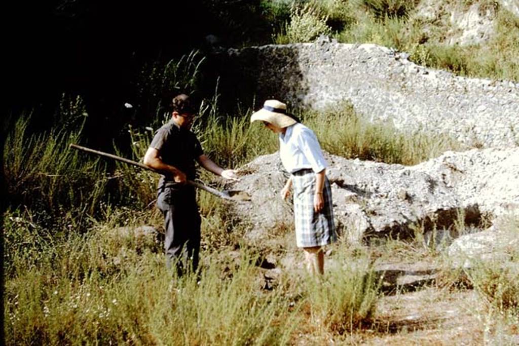 II.5 Pompeii. 1966. Continuation of trench along east wall, but the covering of lapilli soon ended and the backfill was deep and compacted. Photo by Stanley A. Jashemski.
Source: The Wilhelmina and Stanley A. Jashemski archive in the University of Maryland Library, Special Collections (See collection page) and made available under the Creative Commons Attribution-Non Commercial License v.4. See Licence and use details.
J66f0267
