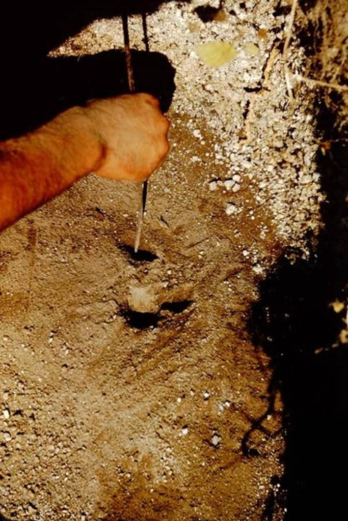 II.5 Pompeii. 1966. A few small cavities were discovered and dug-out over the next few days, on the east side of the site.  Photo by Stanley A. Jashemski.
Source: The Wilhelmina and Stanley A. Jashemski archive in the University of Maryland Library, Special Collections (See collection page) and made available under the Creative Commons Attribution-Non Commercial License v.4. See Licence and use details.
J66f0293
