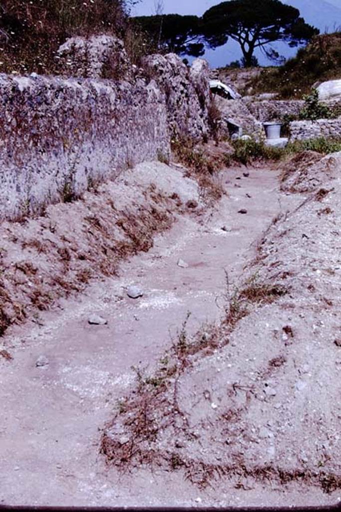 II.5 Pompeii. 1966. Row of root cavities found along the east wall. Photo by Stanley A. Jashemski.
Source: The Wilhelmina and Stanley A. Jashemski archive in the University of Maryland Library, Special Collections (See collection page) and made available under the Creative Commons Attribution-Non Commercial License v.4. See Licence and use details.
J66f1067
