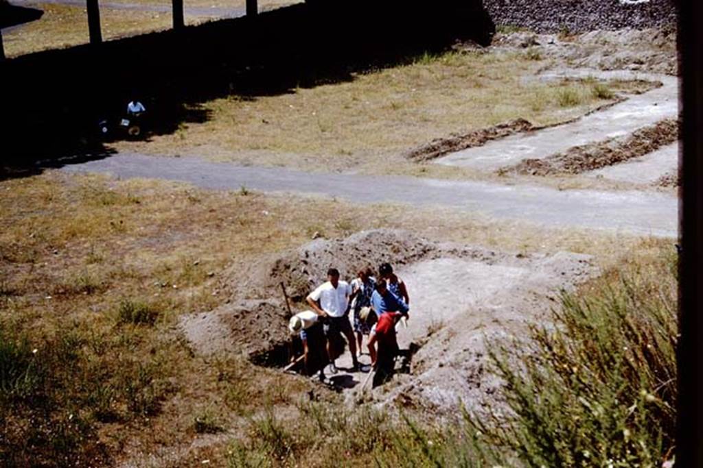 II.5 Pompeii. 1966. In the Pompeii of 1966, it was much easier to get in and around places that are now fenced off and out-of-bounds. There were not as many Vietato laccesso (No-entry) signs around in those days. In the words of Tony Robinson on Time-Team we hope these passers-by asked Can we come into your trench? Photo by Stanley A. Jashemski.
Source: The Wilhelmina and Stanley A. Jashemski archive in the University of Maryland Library, Special Collections (See collection page) and made available under the Creative Commons Attribution-Non Commercial License v.4. See Licence and use details.
J66f0602
