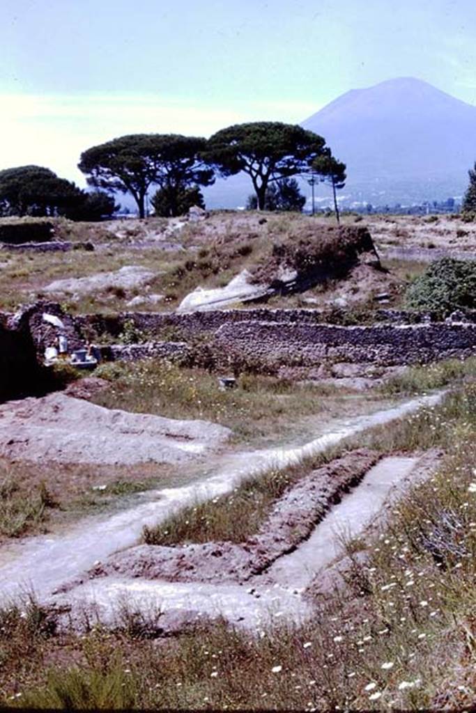 II.5 Pompeii. 1966. Looking north across top of insula and across the Via dellAbbondanza into III.7.  Photo by Stanley A. Jashemski.
Source: The Wilhelmina and Stanley A. Jashemski archive in the University of Maryland Library, Special Collections (See collection page) and made available under the Creative Commons Attribution-Non Commercial License v.4. See Licence and use details.
J66f1092
