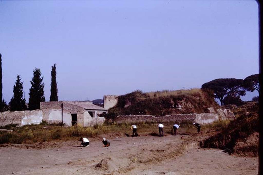 II.5 Pompeii, 1968.  Looking north-west. Photo by Stanley A. Jashemski.
Source: The Wilhelmina and Stanley A. Jashemski archive in the University of Maryland Library, Special Collections (See collection page) and made available under the Creative Commons Attribution-Non Commercial License v.4. See Licence and use details.
J68f0554

