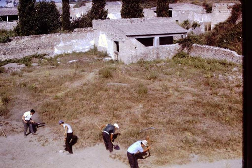 II.5 Pompeii, 1968. Looking north-west towards the winery.  Photo by Stanley A. Jashemski.
Source: The Wilhelmina and Stanley A. Jashemski archive in the University of Maryland Library, Special Collections (See collection page) and made available under the Creative Commons Attribution-Non Commercial License v.4. See Licence and use details.
J68f0556
