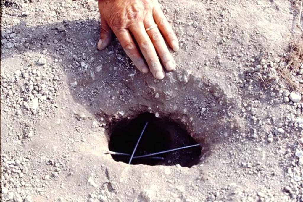 II.5 Pompeii, 1968. Making the cast.  Photo by Stanley A. Jashemski.
Source: The Wilhelmina and Stanley A. Jashemski archive in the University of Maryland Library, Special Collections (See collection page) and made available under the Creative Commons Attribution-Non Commercial License v.4. See Licence and use details.
J68f0740
