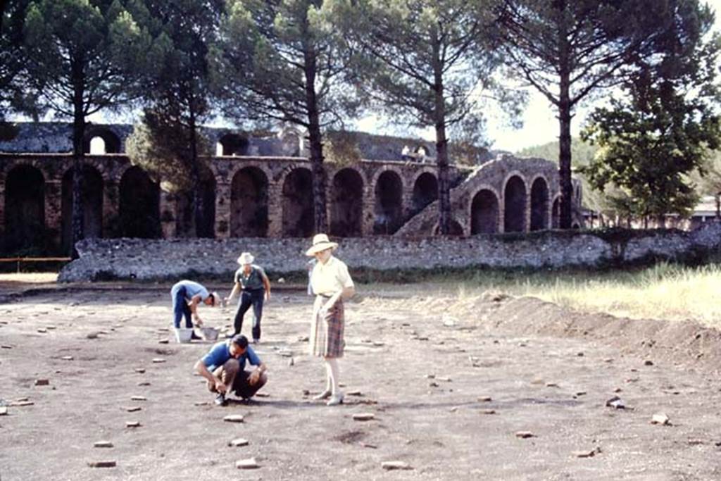 II.5 Pompeii, 1968.  I keep miscounting these root-cavities, the numbers just seem to keep growing. Photo by Stanley A. Jashemski.
Source: The Wilhelmina and Stanley A. Jashemski archive in the University of Maryland Library, Special Collections (See collection page) and made available under the Creative Commons Attribution-Non Commercial License v.4. See Licence and use details.
J68f0844
