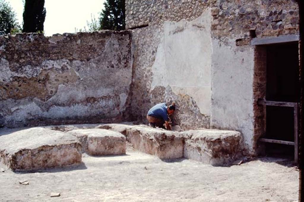 II.5 Pompeii, 1968.  What have I found here.  Photo by Stanley A. Jashemski.
Source: The Wilhelmina and Stanley A. Jashemski archive in the University of Maryland Library, Special Collections (See collection page) and made available under the Creative Commons Attribution-Non Commercial License v.4. See Licence and use details.
J68f0908
