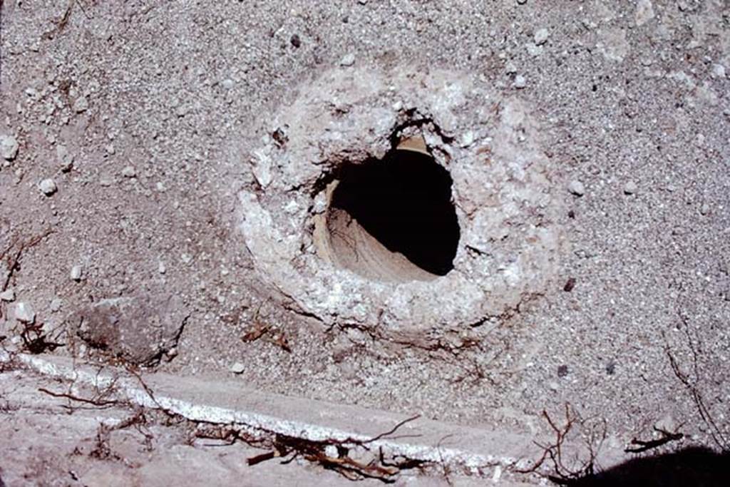 ll.5 Pompeii, 1968.  A buried amphorae, probably used to stabilise the awning over the triclinium. Photo by Stanley A. Jashemski.
Source: The Wilhelmina and Stanley A. Jashemski archive in the University of Maryland Library, Special Collections (See collection page) and made available under the Creative Commons Attribution-Non Commercial License v.4. See Licence and use details.
J68f1938
