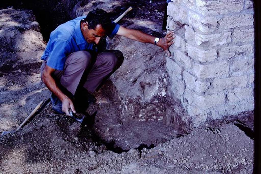 ll.5 Pompeii, 1968.  Sig. Sicignano excavating near the entrance gateway on the south side. Photo by Stanley A. Jashemski.
Source: The Wilhelmina and Stanley A. Jashemski archive in the University of Maryland Library, Special Collections (See collection page) and made available under the Creative Commons Attribution-Non Commercial License v.4. See Licence and use details.
J68f1270
