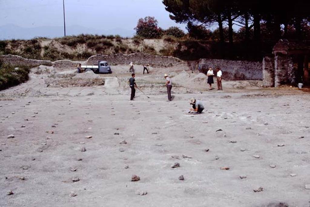 II.5 Pompeii, 1968. Looking east.  Photo by Stanley A. Jashemski.
Source: The Wilhelmina and Stanley A. Jashemski archive in the University of Maryland Library, Special Collections (See collection page) and made available under the Creative Commons Attribution-Non Commercial License v.4. See Licence and use details.
J68f1628

