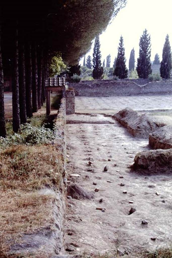 ll.5 Pompeii, 1968. Looking west along southern boundary.  Photo by Stanley A. Jashemski.
Source: The Wilhelmina and Stanley A. Jashemski archive in the University of Maryland Library, Special Collections (See collection page) and made available under the Creative Commons Attribution-Non Commercial License v.4. See Licence and use details.
J68f1631
