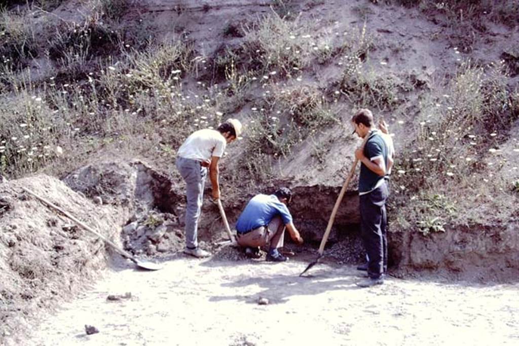 ll.5 Pompeii, 1968.  Excavation in north-east corner, looking north. Photo by Stanley A. Jashemski.
Source: The Wilhelmina and Stanley A. Jashemski archive in the University of Maryland Library, Special Collections (See collection page) and made available under the Creative Commons Attribution-Non Commercial License v.4. See Licence and use details.
J68f1636
