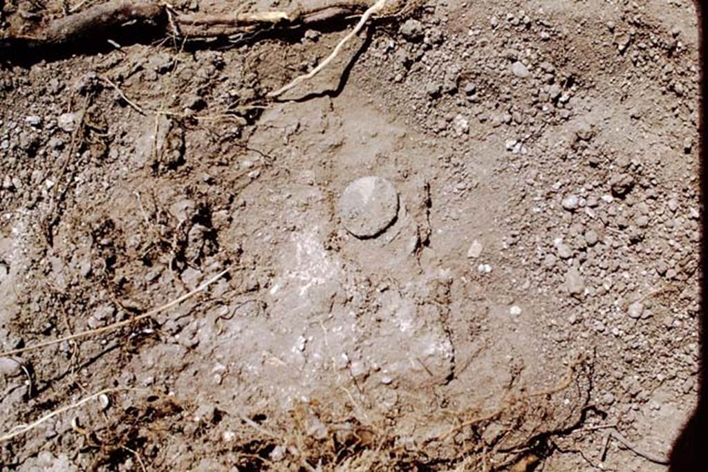 ll.5 Pompeii, 1968.  Another coin found near north side of site. Photo by Stanley A. Jashemski.
Source: The Wilhelmina and Stanley A. Jashemski archive in the University of Maryland Library, Special Collections (See collection page) and made available under the Creative Commons Attribution-Non Commercial License v.4. See Licence and use details.
J68f1684
