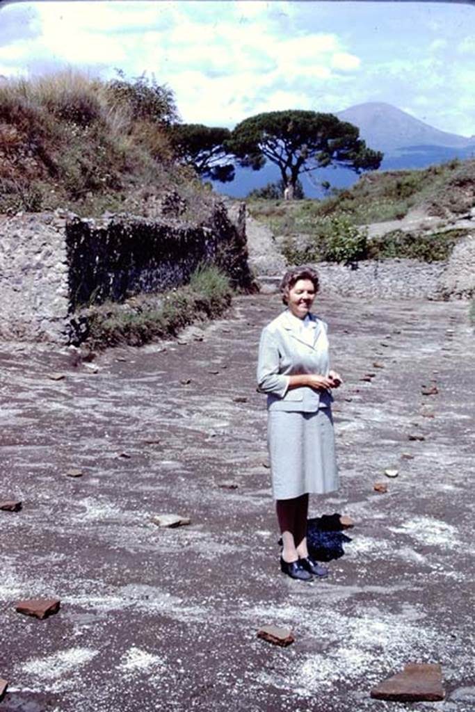 ll.5 Pompeii, 1968. Wilhelmina in her vineyard.  Photo by Stanley A. Jashemski.
Source: The Wilhelmina and Stanley A. Jashemski archive in the University of Maryland Library, Special Collections (See collection page) and made available under the Creative Commons Attribution-Non Commercial License v.4. See Licence and use details.
J68f2036
