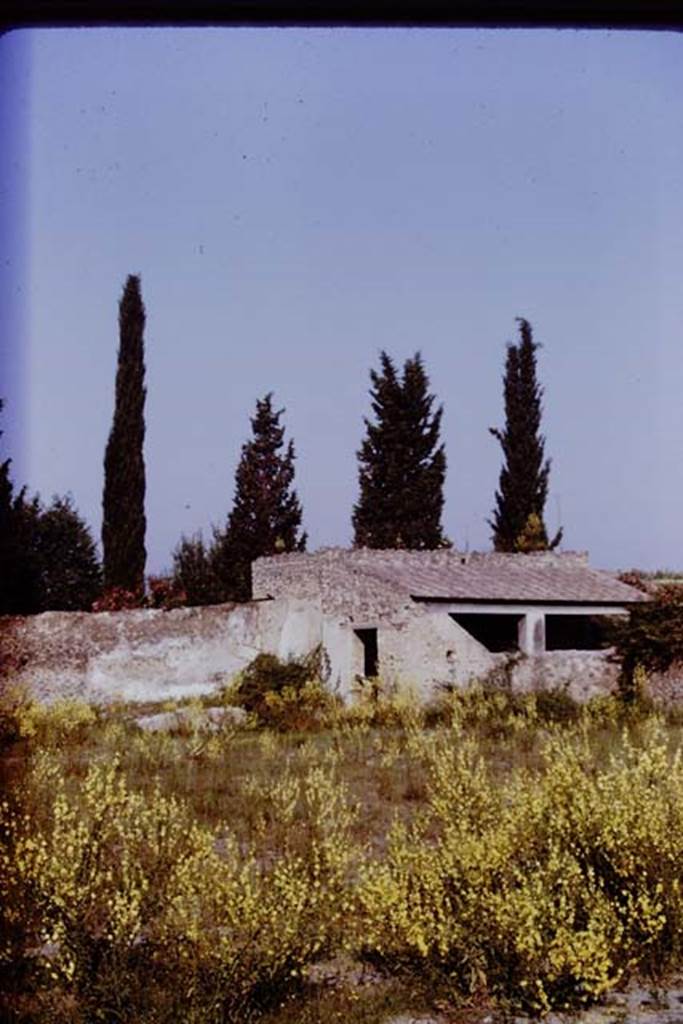 II.5 Pompeii. 1970.  Looking north-west across site towards wine-making room.  Photo by Stanley A. Jashemski.
Source: The Wilhelmina and Stanley A. Jashemski archive in the University of Maryland Library, Special Collections (See collection page) and made available under the Creative Commons Attribution-Non Commercial License v.4. See Licence and use details.
J70f0466
