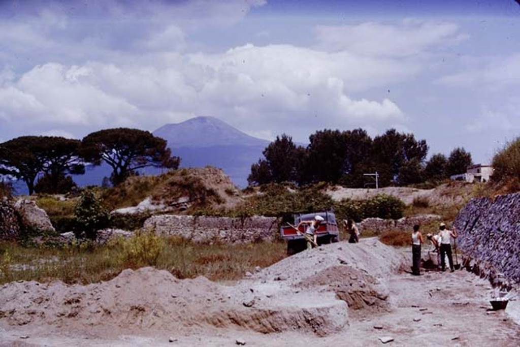 II.5 Pompeii. 1970. Looking north.  Photo by Stanley A. Jashemski.
Source: The Wilhelmina and Stanley A. Jashemski archive in the University of Maryland Library, Special Collections (See collection page) and made available under the Creative Commons Attribution-Non Commercial License v.4. See Licence and use details.
J70f0480
