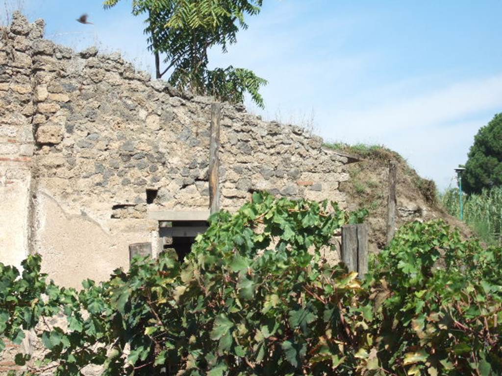 II.5.5 Pompeii. September 2005. View of building where wine was made, South wall.